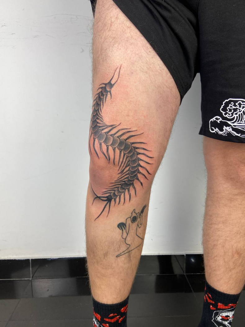 Leg centipede, photo - Tattoo Master Barb Tattoo