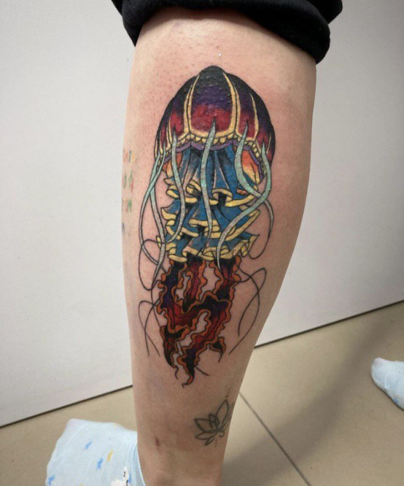 Meduza na piszczeli nodze, photo - Tatuażysta Barb Tattoo