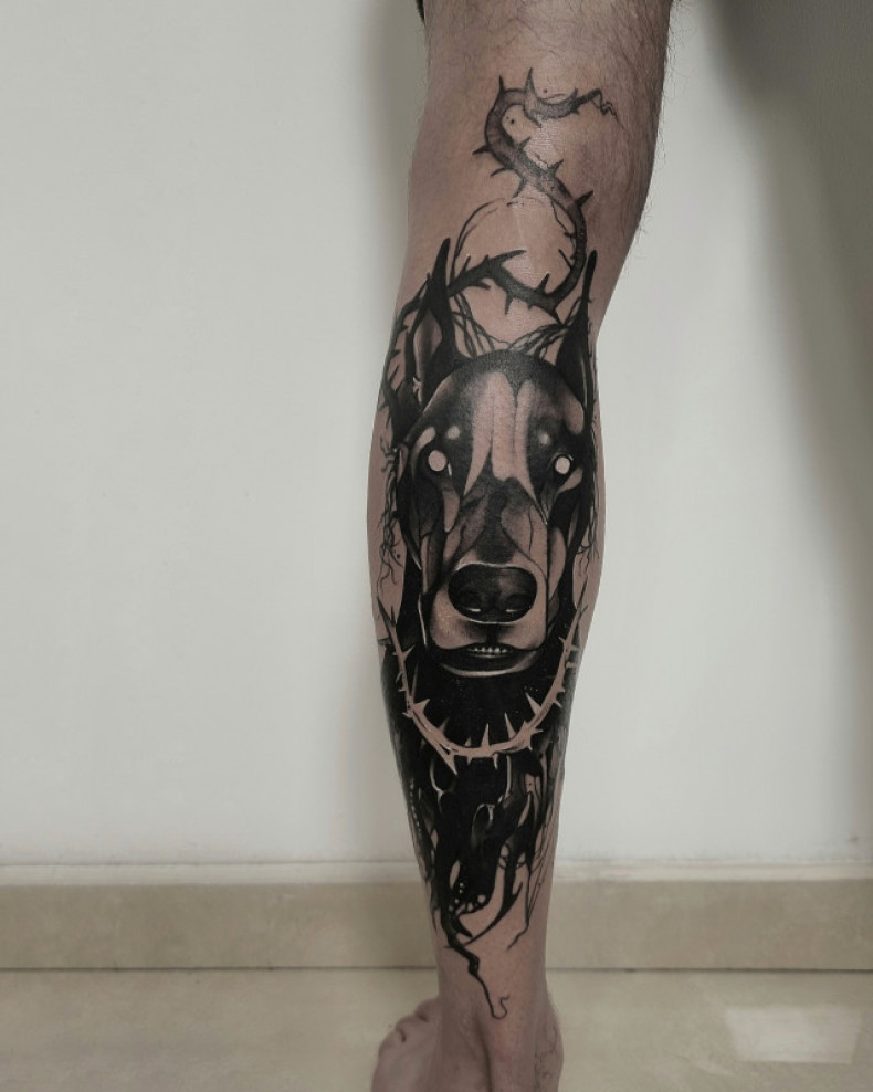 Doberman na piszczeli nodze, photo - Tatuażysta Barb Tattoo