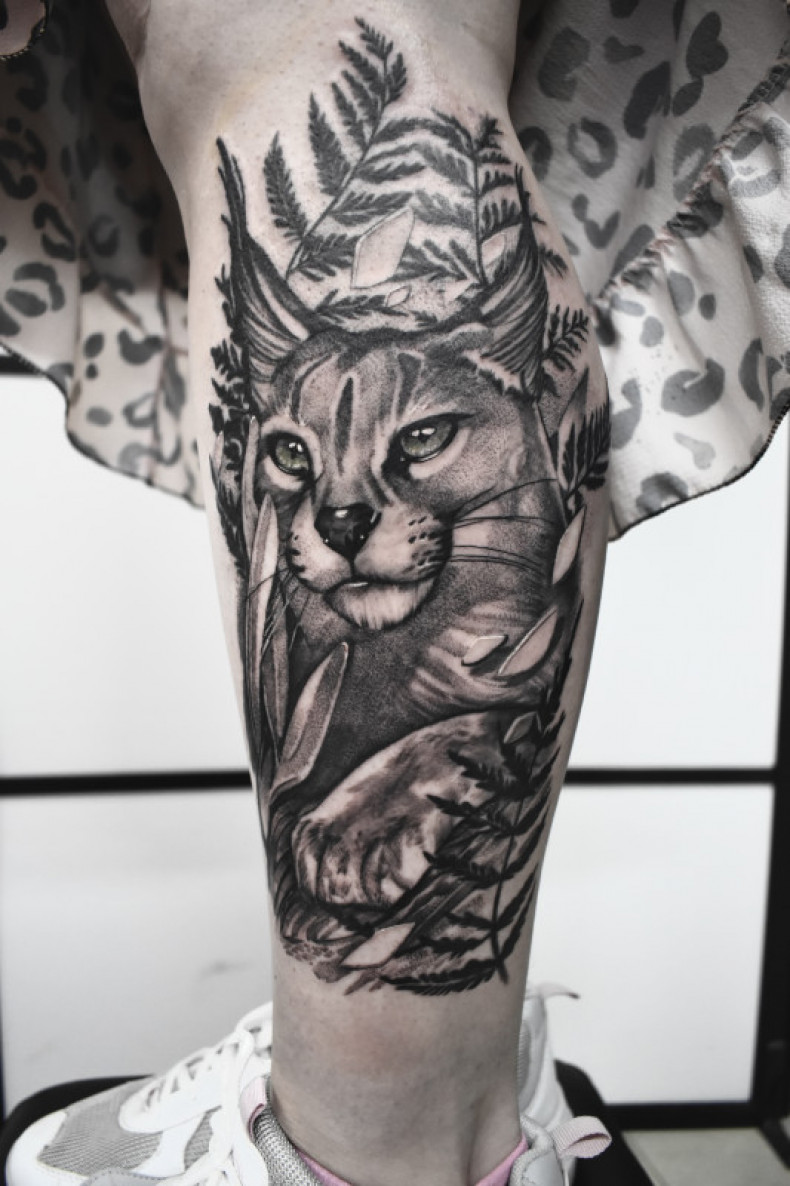 Calf leg lynx, photo - Tattoo Master Barb Tattoo