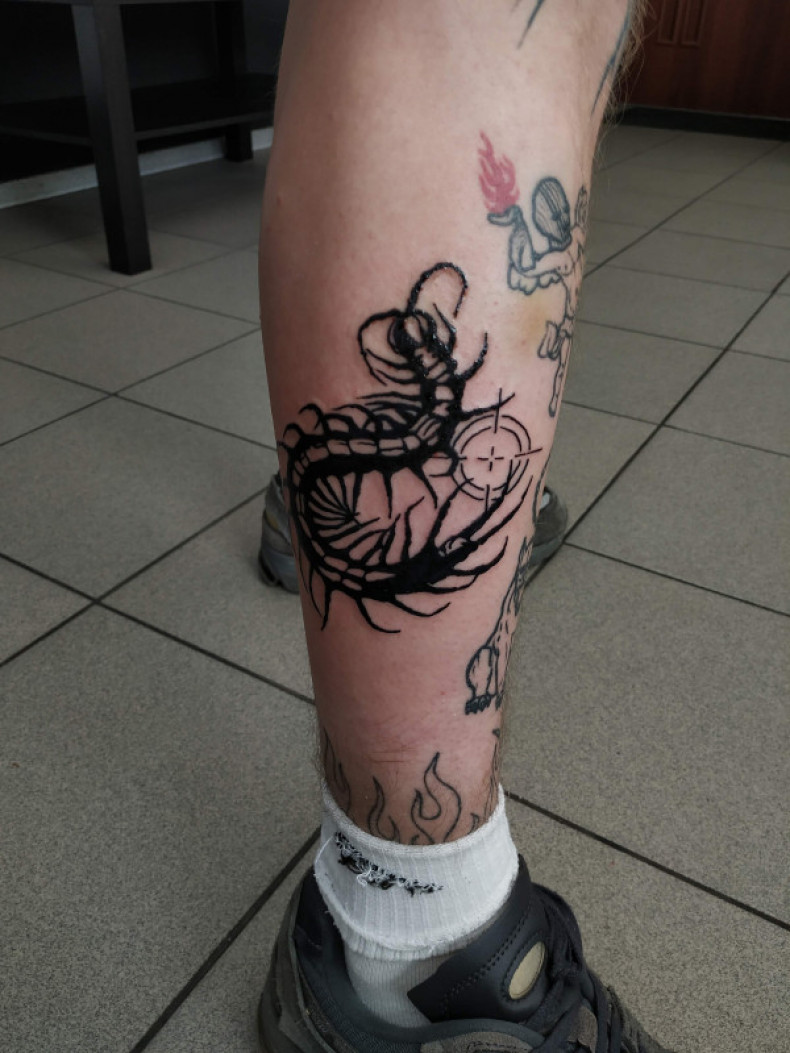 Leg centipede, photo - Tattoo Master Barb Tattoo