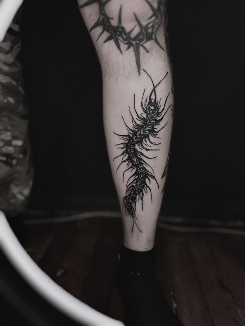 Na nodze skolopendra, photo - Tatuażysta Barb Tattoo