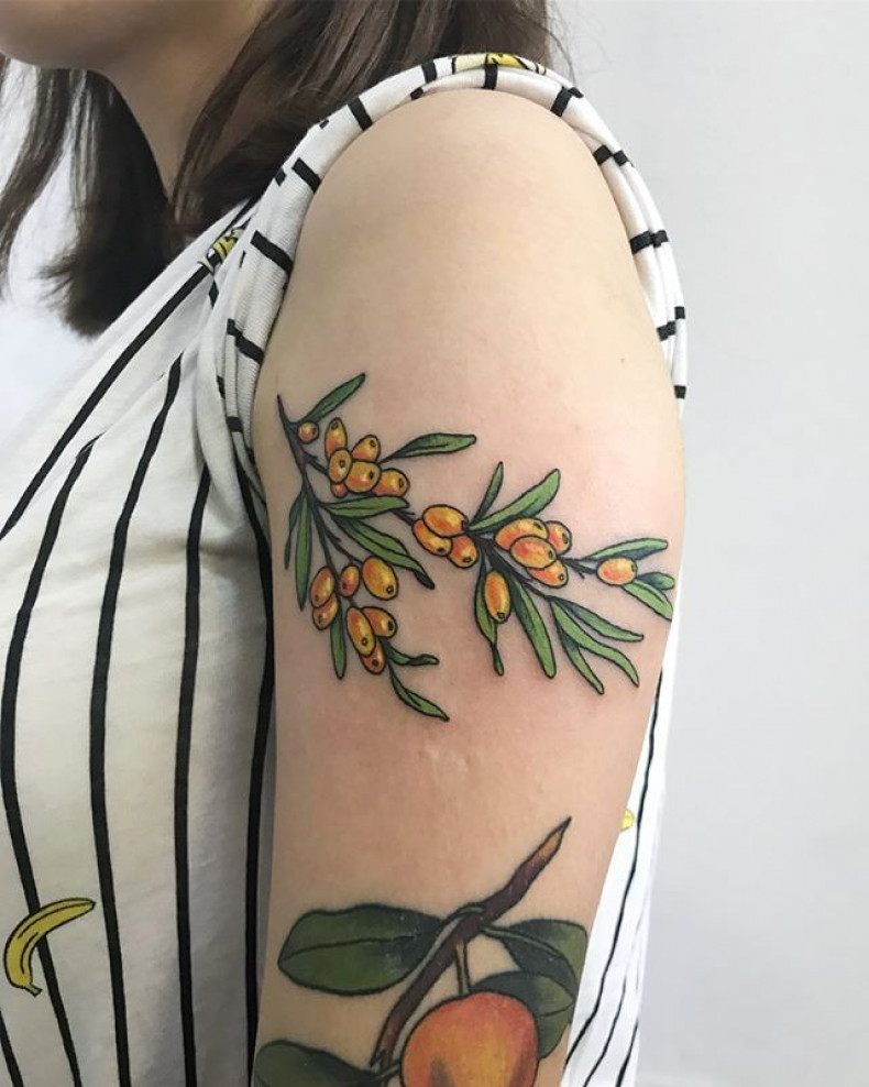 На плече ягоды, photo - Тату мастер Barb Tattoo