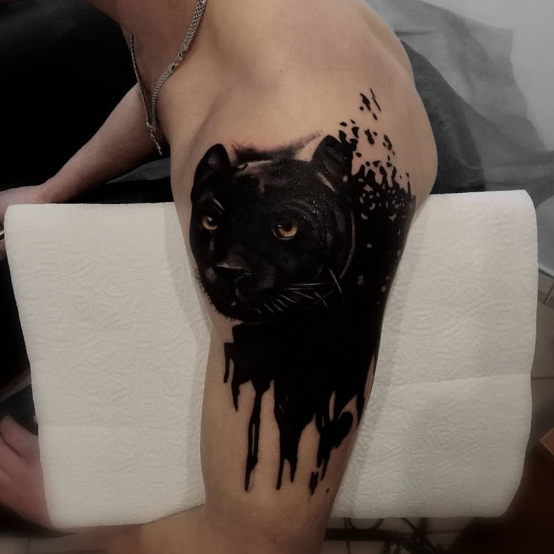 Blackwork shoulder panther, photo - Tattoo Master Barb Tattoo