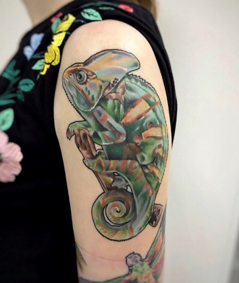 Shoulder chameleon colorful, photo - Tattoo Master Barb Tattoo