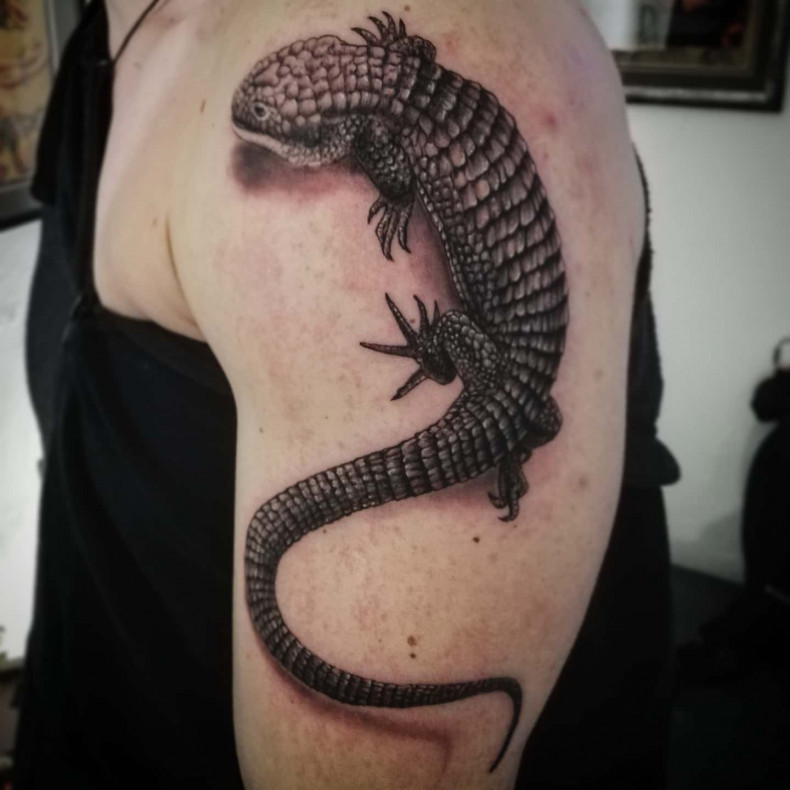 Shoulder lizard, photo - Tattoo Master Barb Tattoo