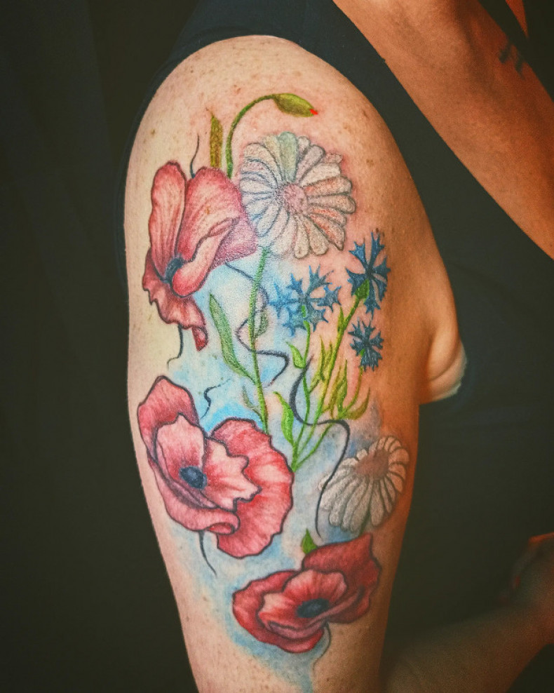 Watercolor cornflower mak, photo - Tattoo Master Barb Tattoo