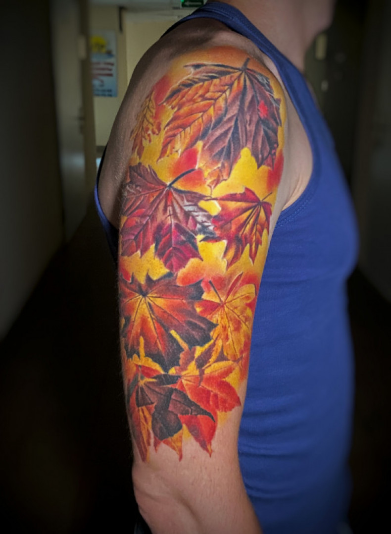 Leaf shoulder colorful, photo - Tattoo Master Barb Tattoo