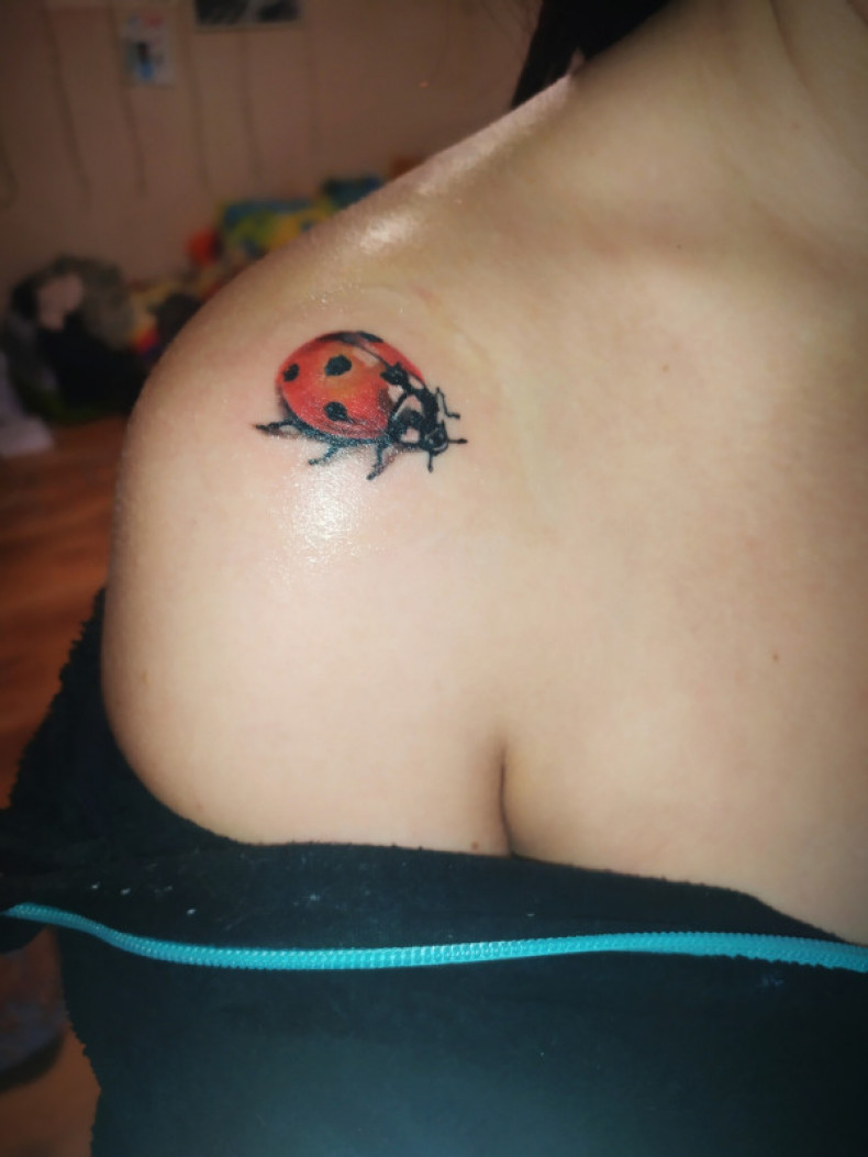 Ladybug shoulder colorful, photo - Tattoo Master Barb Tattoo