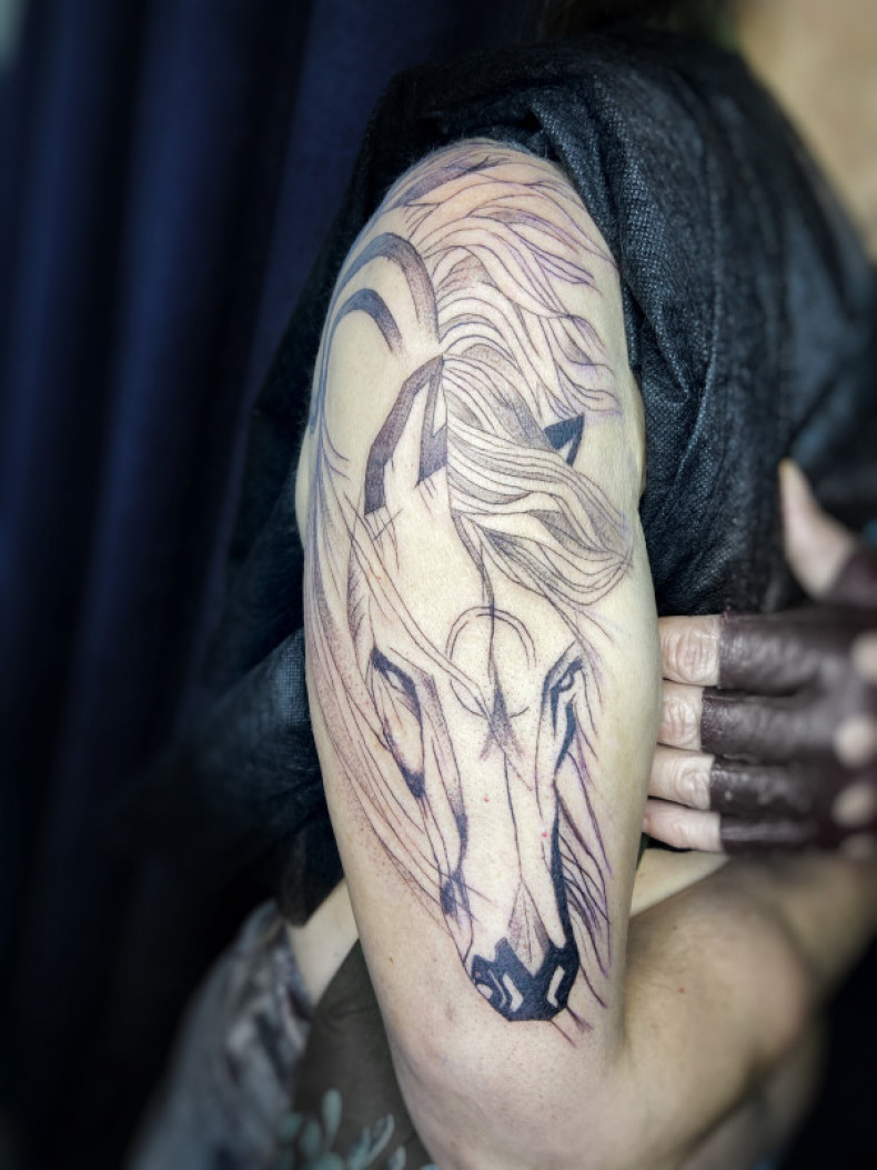 Horse shoulder, photo - Tattoo Master Barb Tattoo