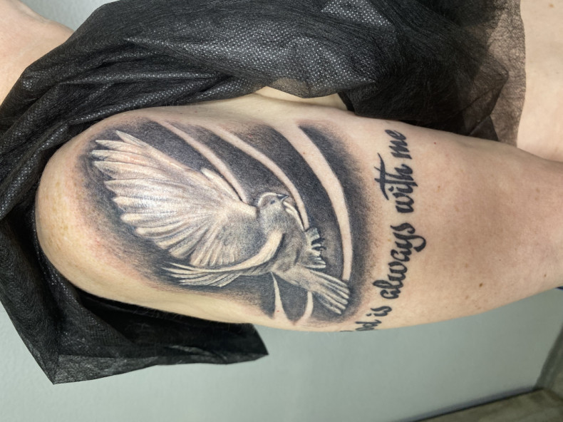 Pigeon shoulder, photo - Tattoo Master Barb Tattoo