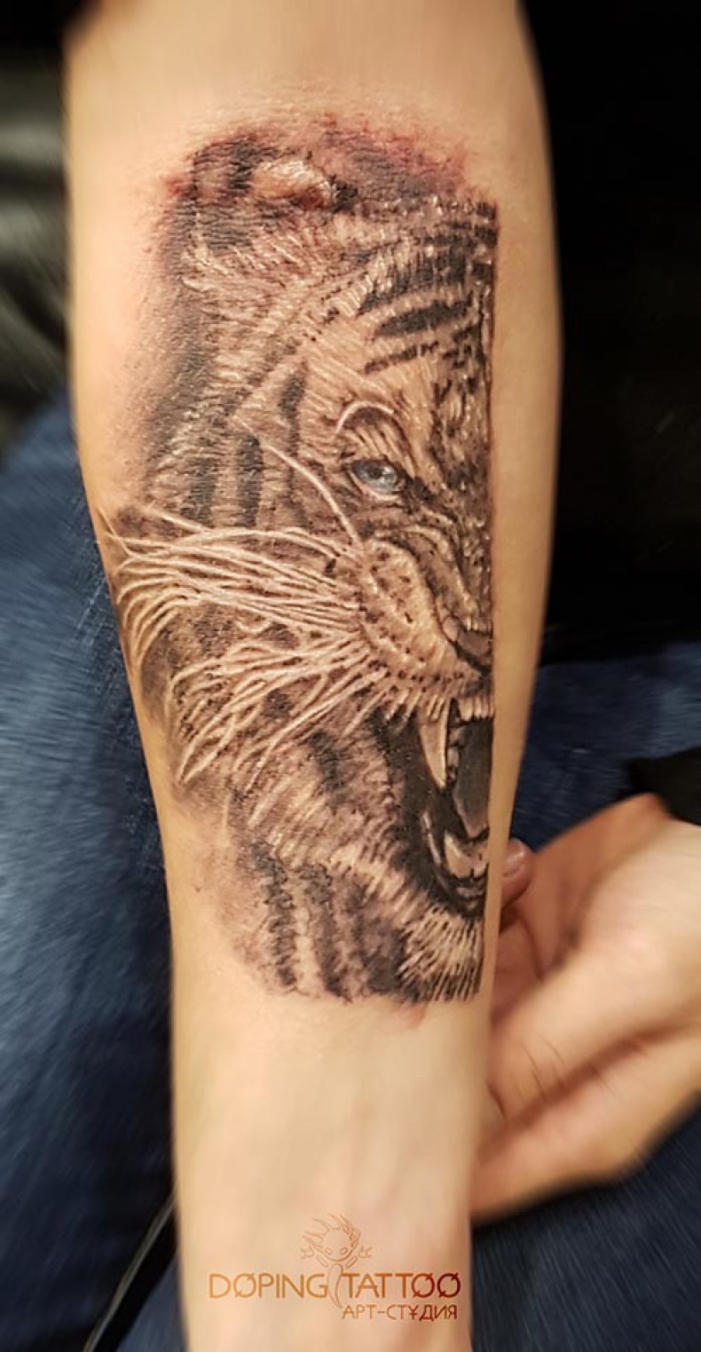 Tatuaż tygrys, tatuaż Lwów, tatuaż Lwów, tatuaż Lwów, photo - Tatuażysta Barb Tattoo