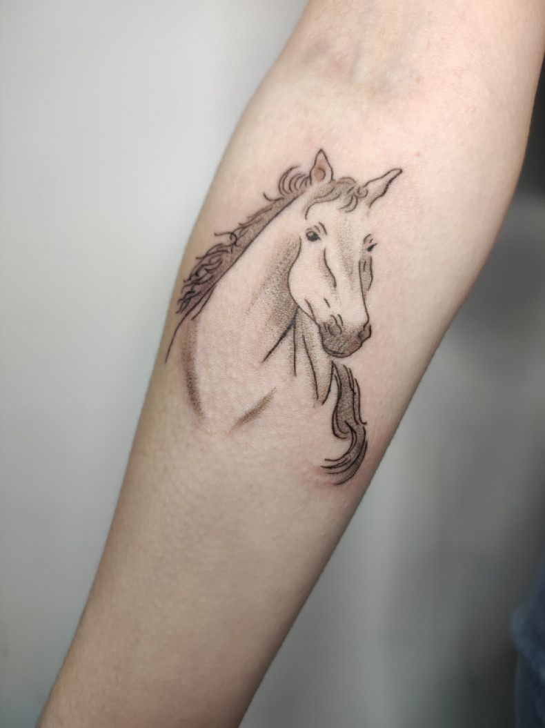 Horse forearm, photo - Tattoo Master Barb Tattoo