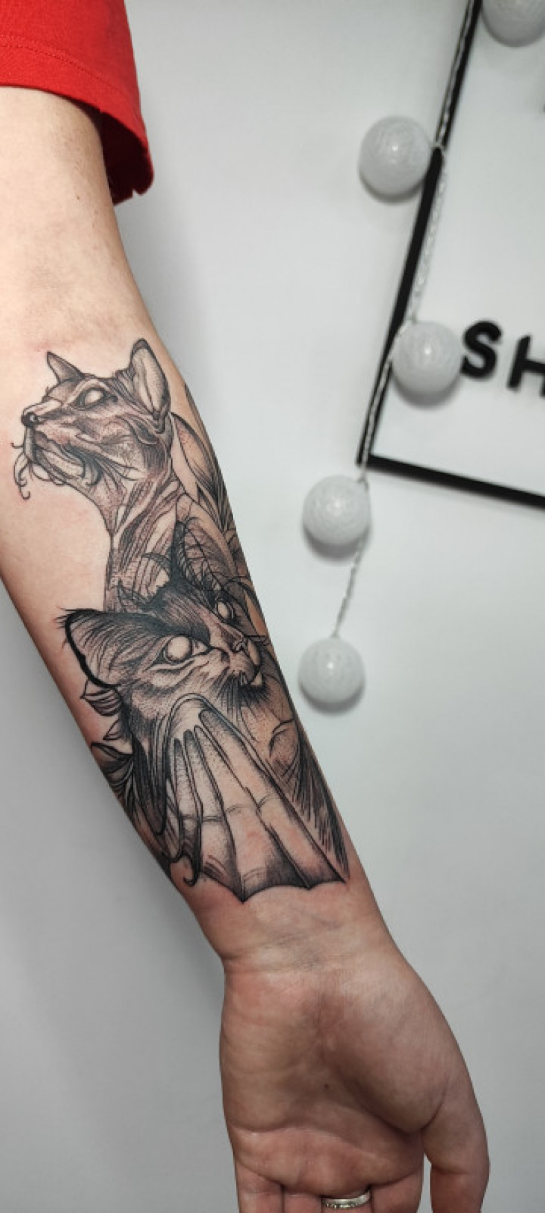 Bat forearm, photo - Tattoo Master Barb Tattoo