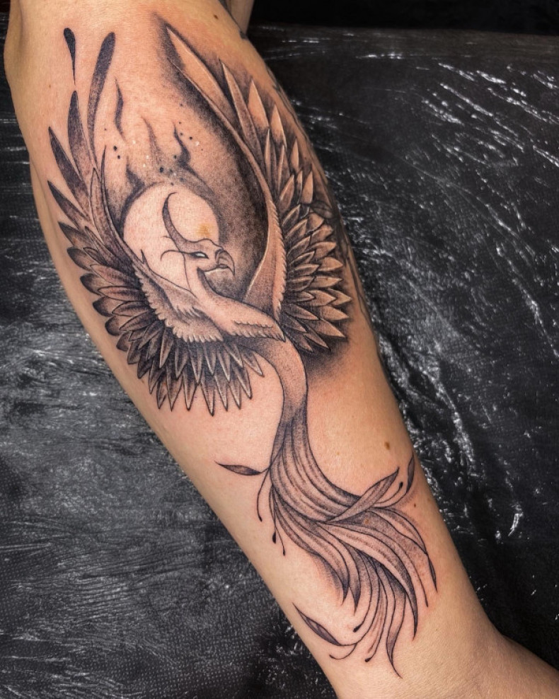 Firebird forearm phoenix, photo - Tattoo Master Barb Tattoo