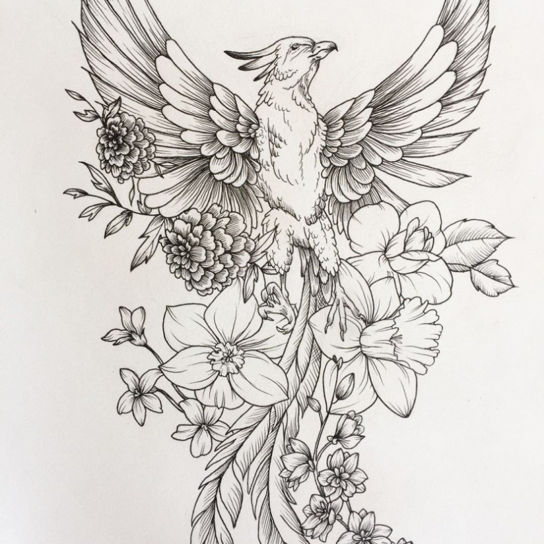 Phoenix sketch, photo - Tattoo Master Barb Tattoo