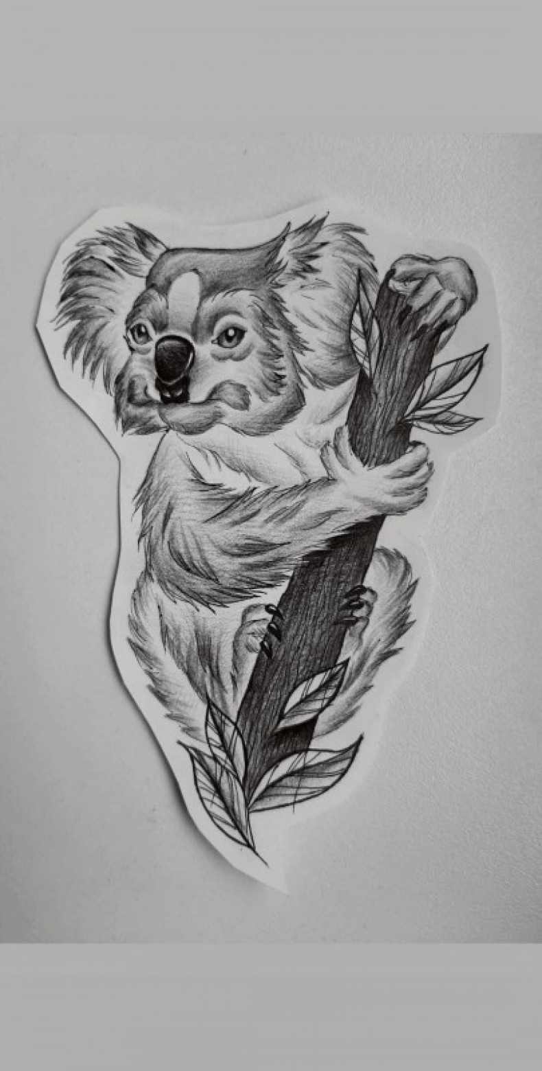 Koala naszkicować, photo - Tatuażysta Barb Tattoo