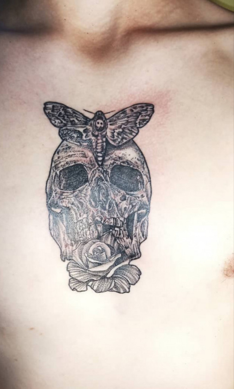 Moth skull, photo - Tattoo Master Barb Tattoo