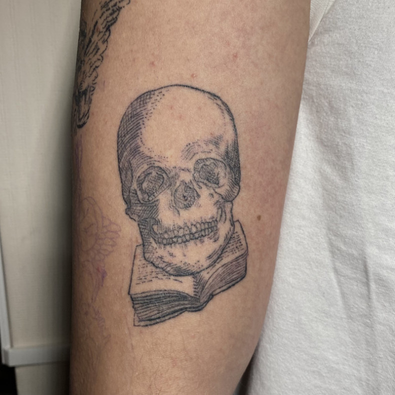 Book skull, photo - Tattoo Master Barb Tattoo