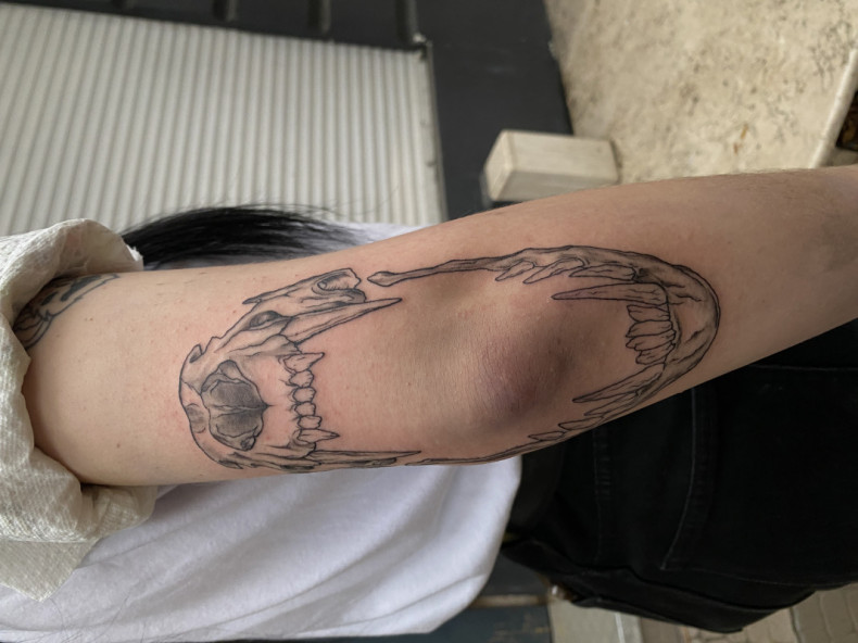 Elbow skull, photo - Tattoo Master Barb Tattoo