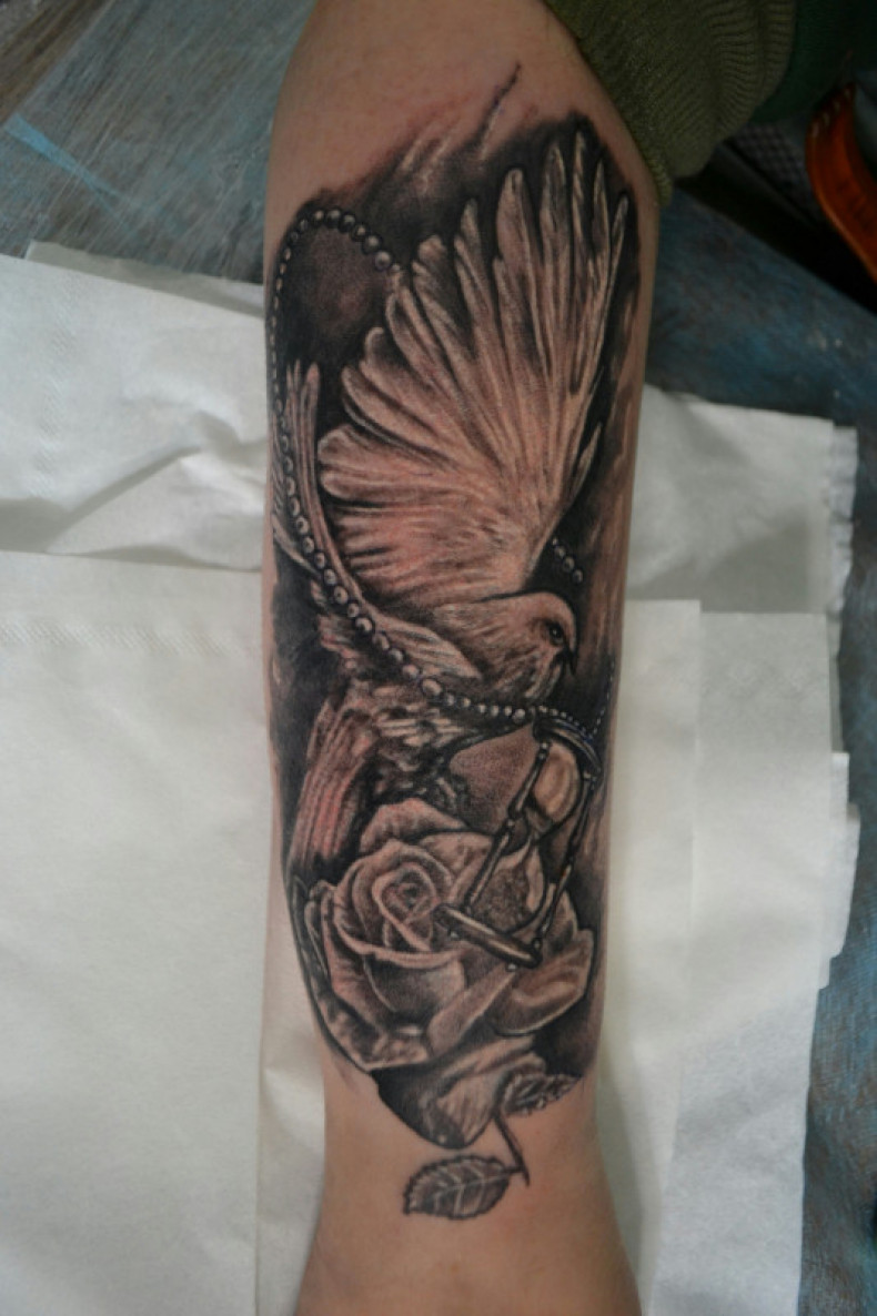 Black and grey pigeon rose, photo - Tattoo Master Barb Tattoo