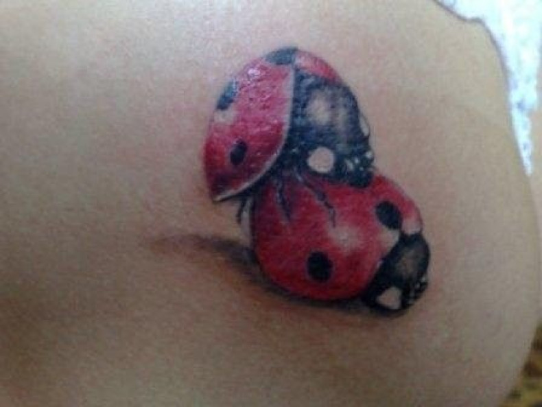 3d ladybug insect, photo - Tattoo Master Barb Tattoo