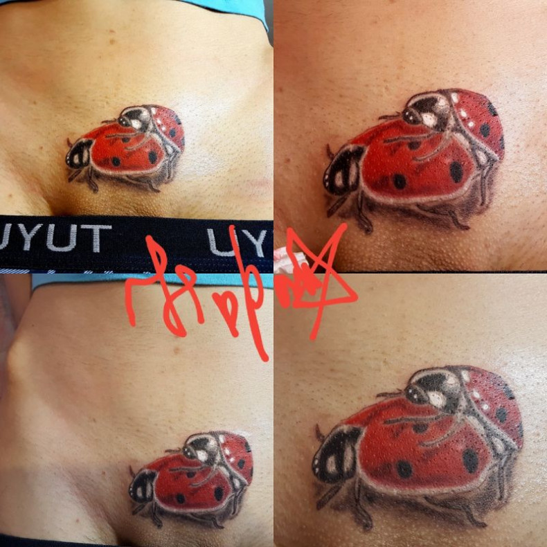 Ladybug colorful, photo - Tattoo Master Barb Tattoo