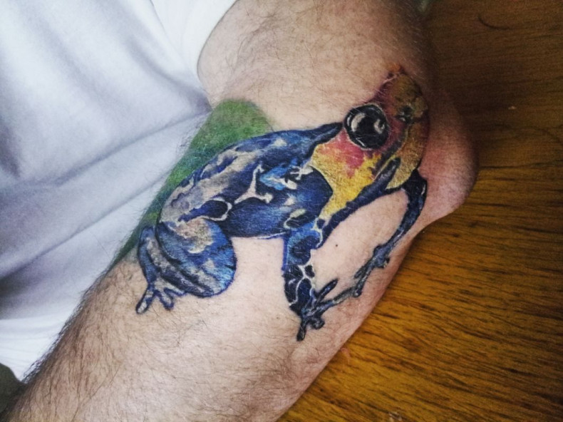 Frog colorful, photo - Tattoo Master Barb Tattoo