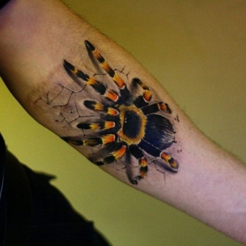 3d cool spider, photo - Tattoo Master Barb Tattoo