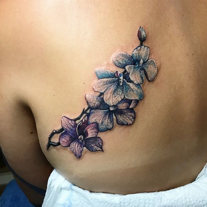 Orchidea kolorowy, photo - Tatuażysta Barb Tattoo