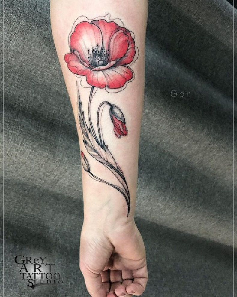 Mohn bunt, photo - Tattoo-Meister Barb Tattoo