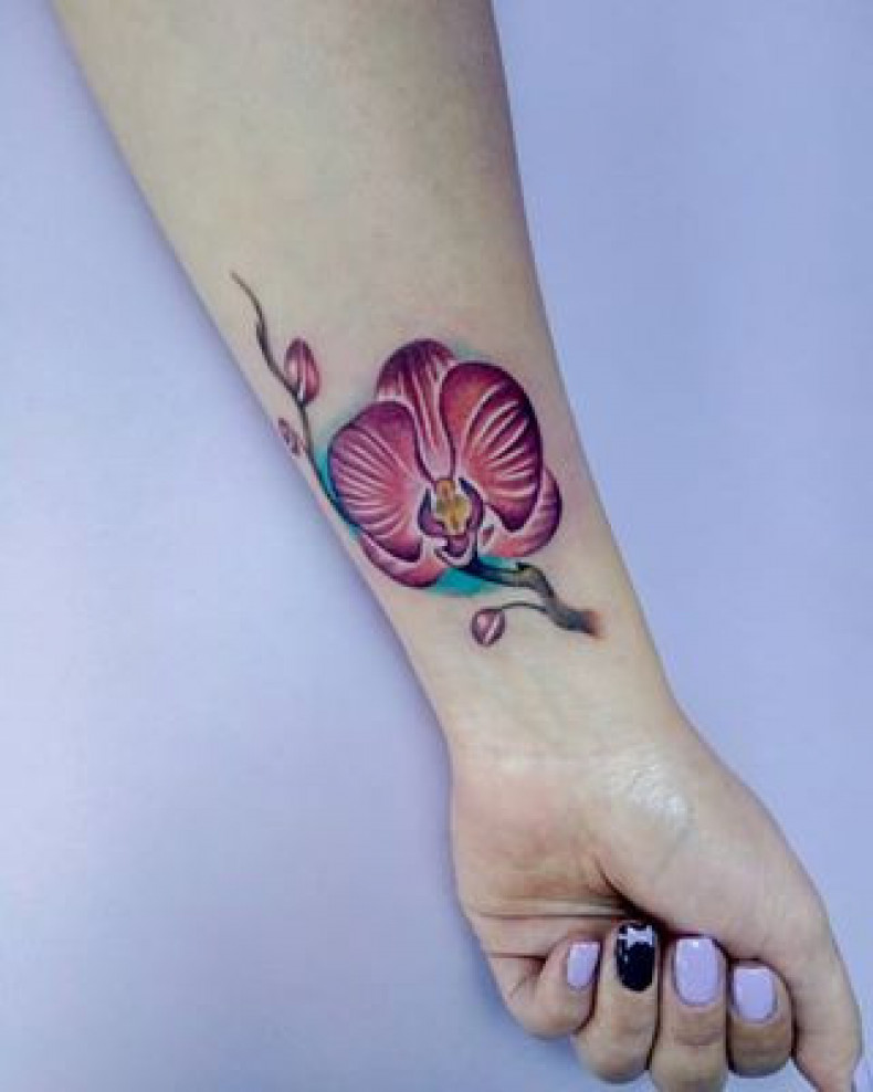 Орхидея цветные, photo - Тату мастер Barb Tattoo