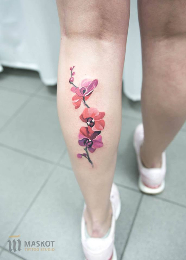 Орхидея цветные, photo - Тату мастер Barb Tattoo