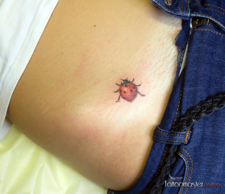 Ladybug colorful, photo - Tattoo Master Barb Tattoo