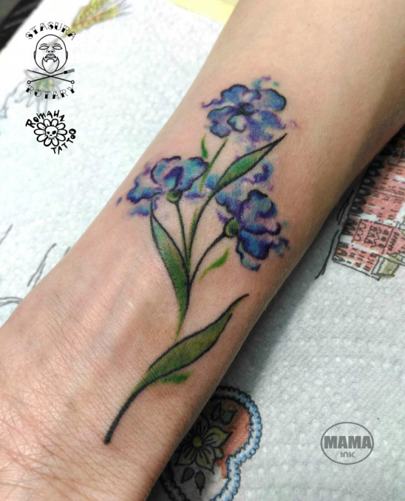 Watercolor cornflower colorful, photo - Tattoo Master Barb Tattoo