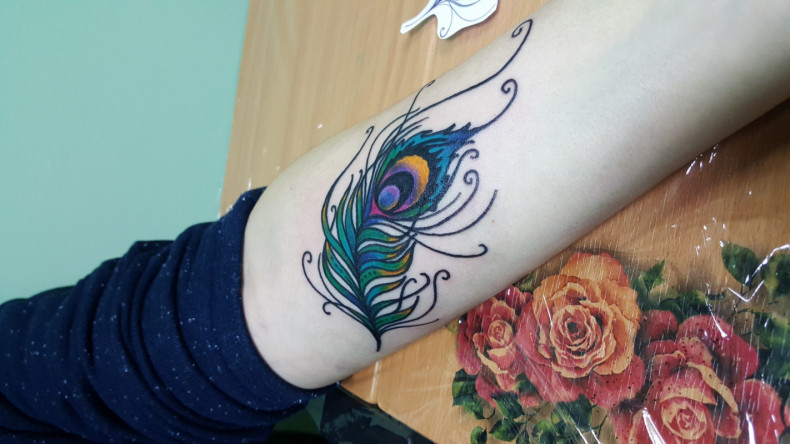 Feather colorful, photo - Tattoo Master Barb Tattoo