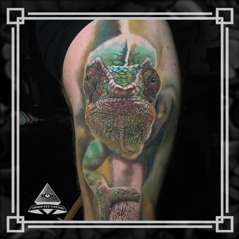 Chameleon colorful, photo - Tattoo Master Barb Tattoo