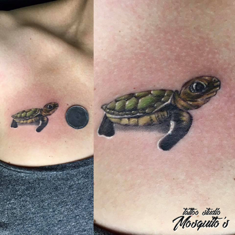 Bunte schildkröte, photo - Tattoo-Meister Barb Tattoo