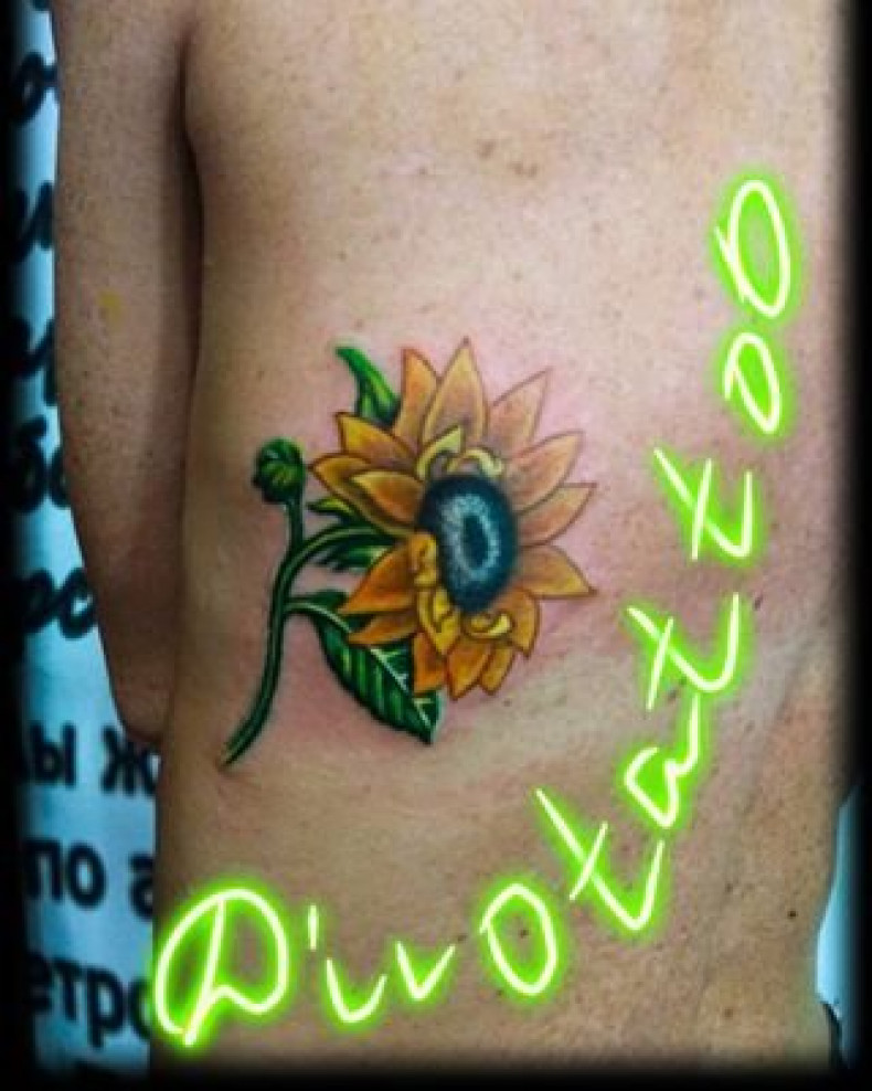 Sunflower colorful, photo - Tattoo Master Barb Tattoo