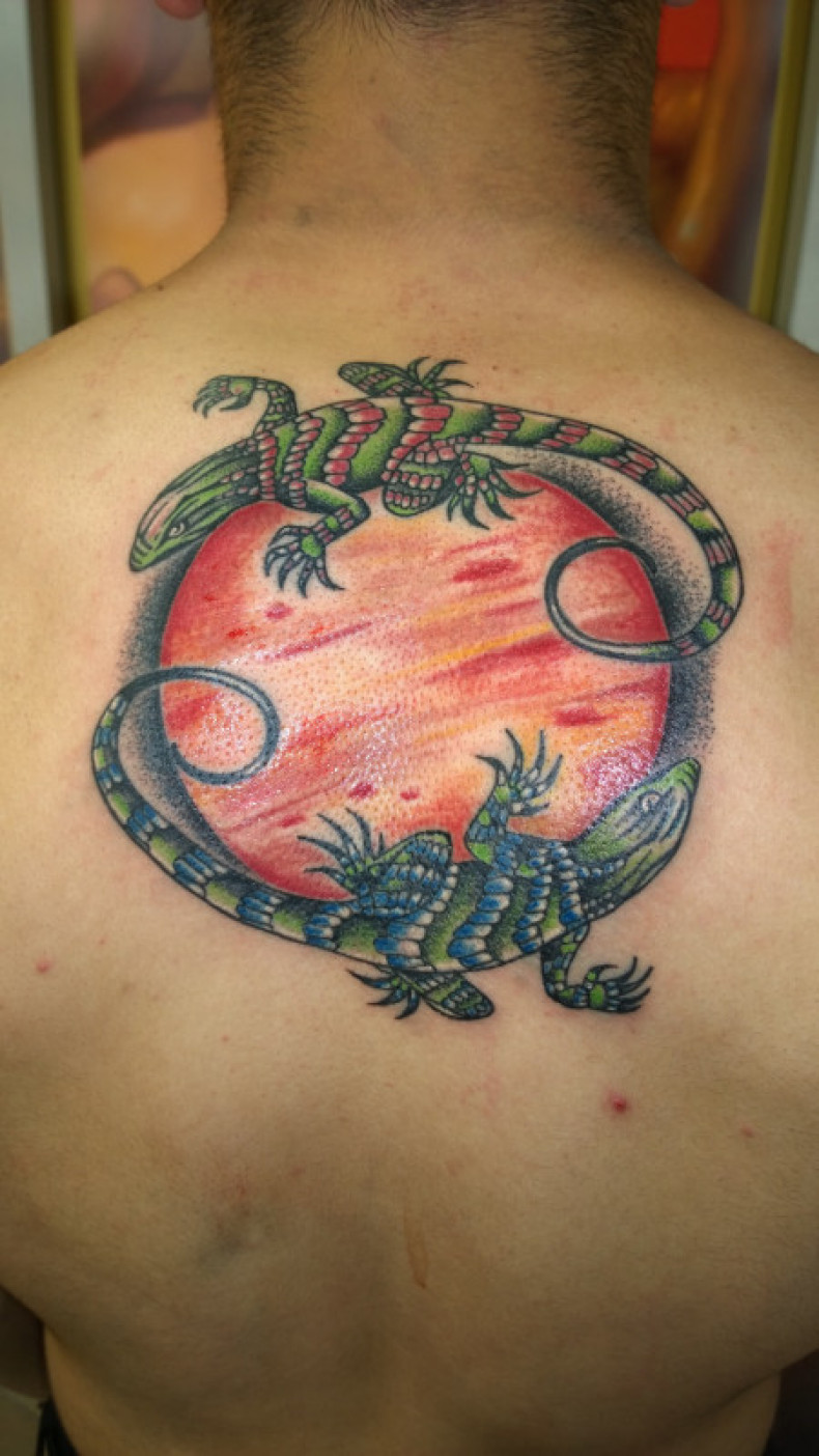 Back colorful lizard, photo - Tattoo Master Barb Tattoo