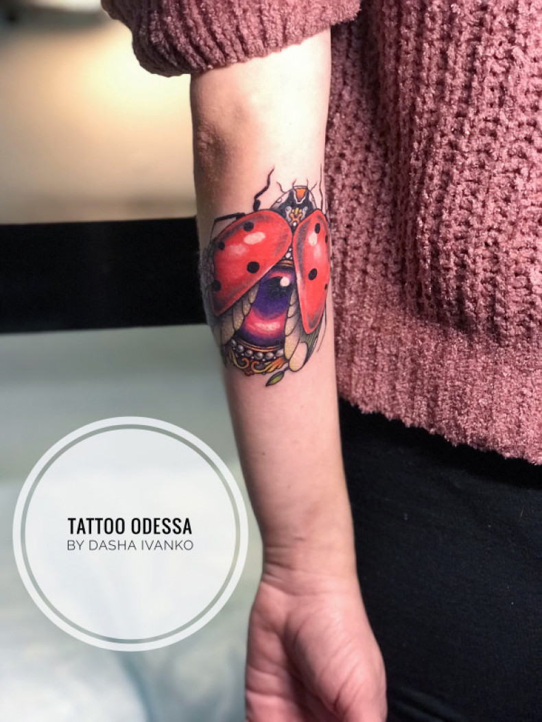 Божья коровка цветные, photo - Тату мастер Barb Tattoo