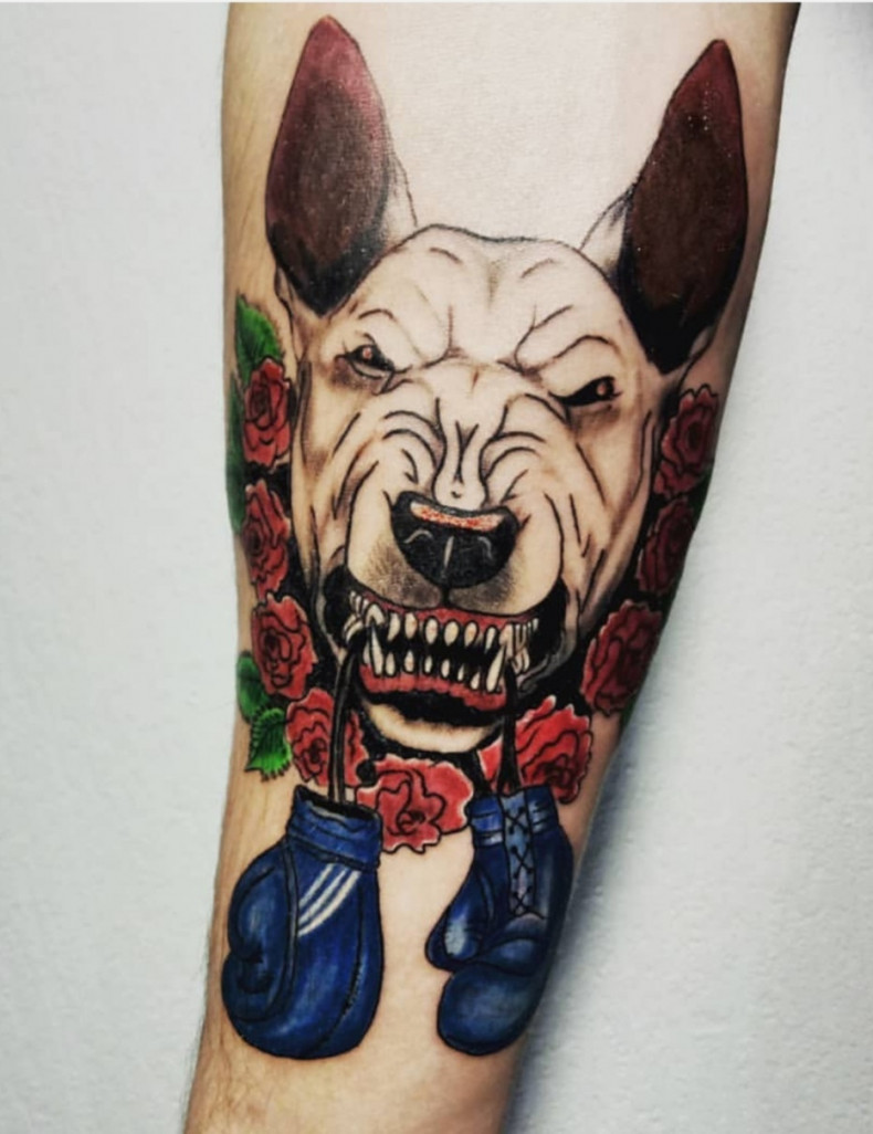 Бультерьер собака хоррор, photo - Тату мастер Barb Tattoo