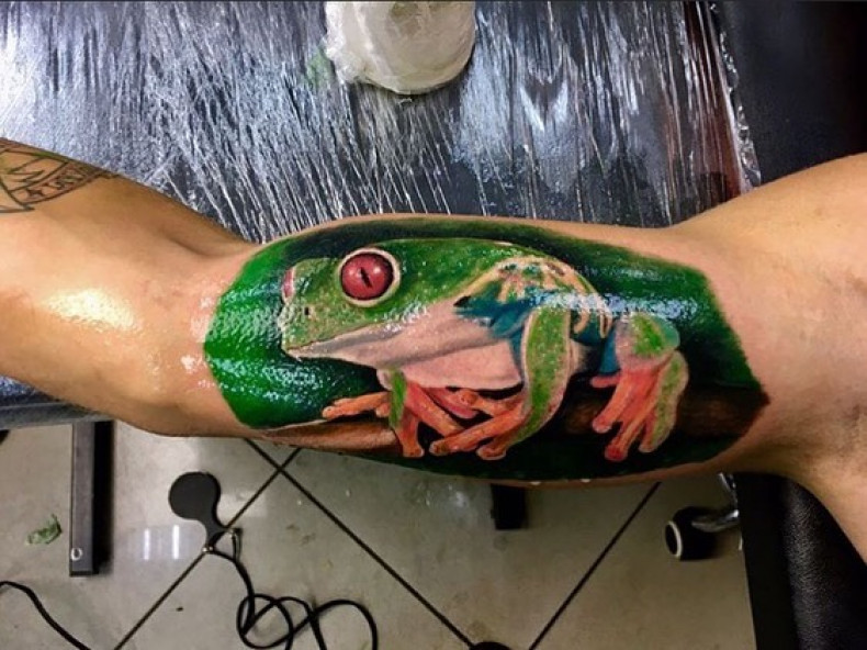 Frosch bunte, photo - Tattoo-Meister Barb Tattoo