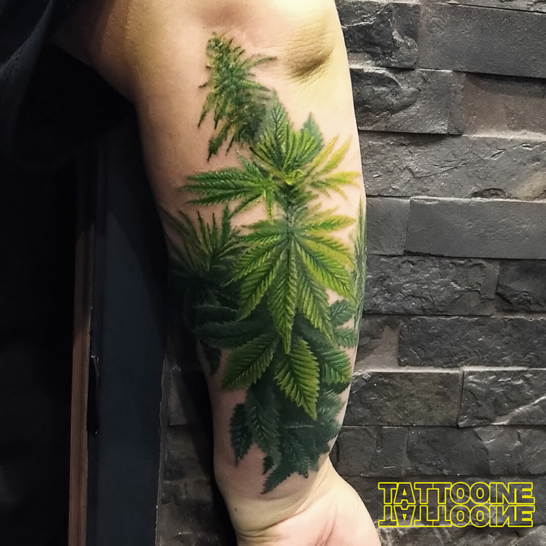 Marijuana colorful, photo - Tattoo Master Barb Tattoo