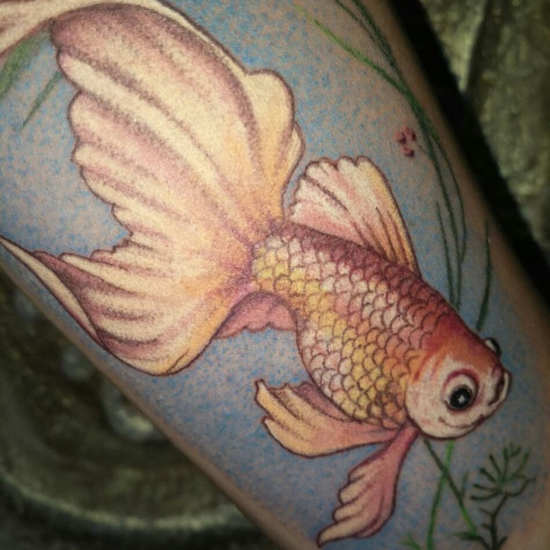 Gold fish colorful, photo - Tattoo Master Barb Tattoo