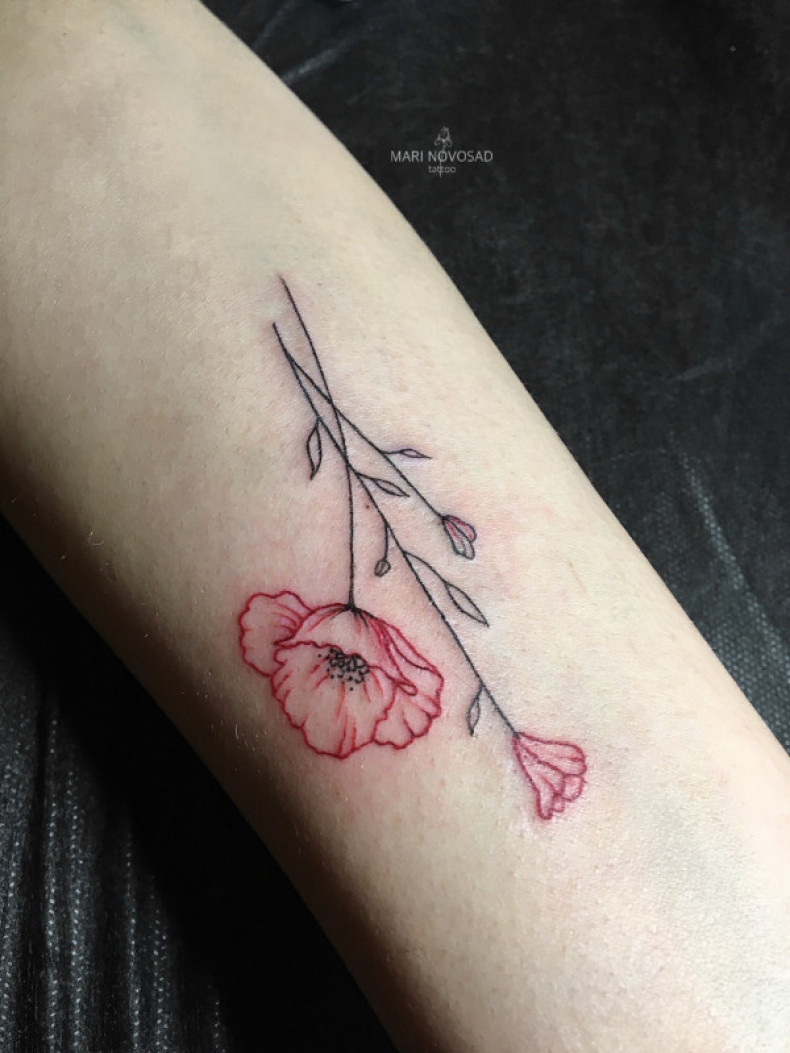 Mohn minimalist bunt, photo - Tattoo-Meister Barb Tattoo