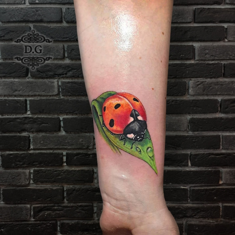 Ladybug colorful, photo - Tattoo Master Barb Tattoo