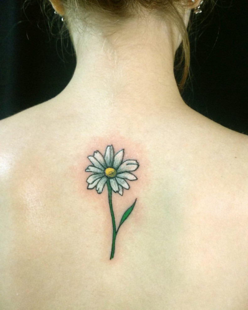 Chamomile colorful flower, photo - Tattoo Master Barb Tattoo