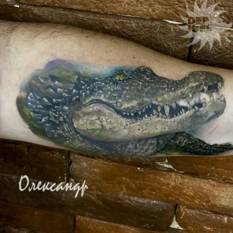 Crocodile colorful, photo - Tattoo Master Barb Tattoo