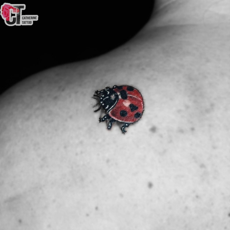 Ladybug back insect, photo - Tattoo Master Barb Tattoo